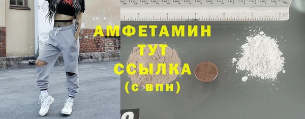 прущие грибы Братск