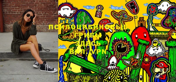 прущие крисы Горняк
