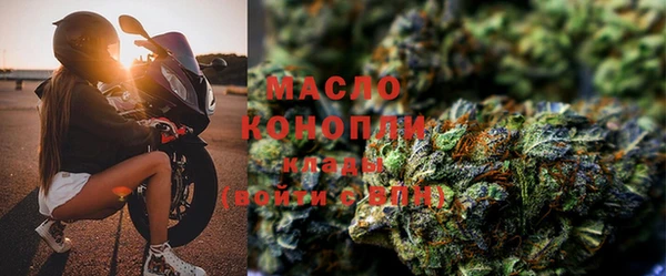 прущие крисы Горняк