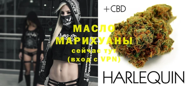 прущие крисы Горняк