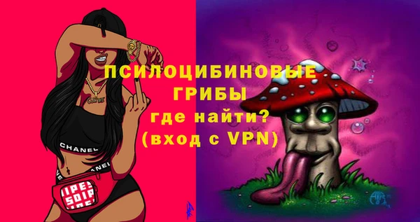 прущие крисы Горняк