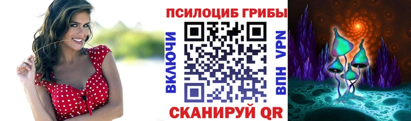 Купить где  Печора  Псилоцибиновые грибы Magic Shrooms 